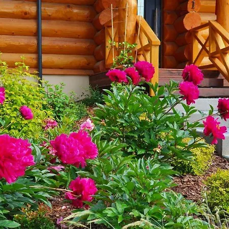 Apartment Nad Jeziorem Lesnianskim *