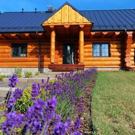 Nad Jeziorem Lesnianskim